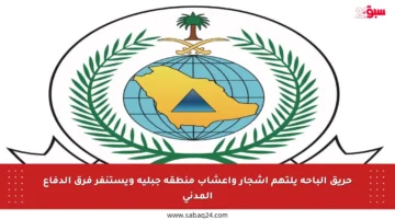 حريق الباحة يلتهم أشجار وأعشاب منطقة جبلية ويستنفر فرق الدفاع المدني